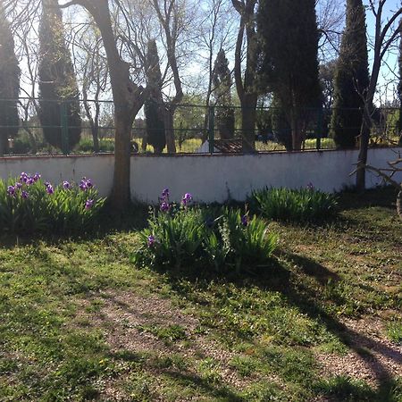 Agroturismo Calixto Villarrobledo Dış mekan fotoğraf