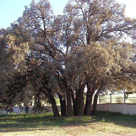 Agroturismo Calixto Villarrobledo Dış mekan fotoğraf
