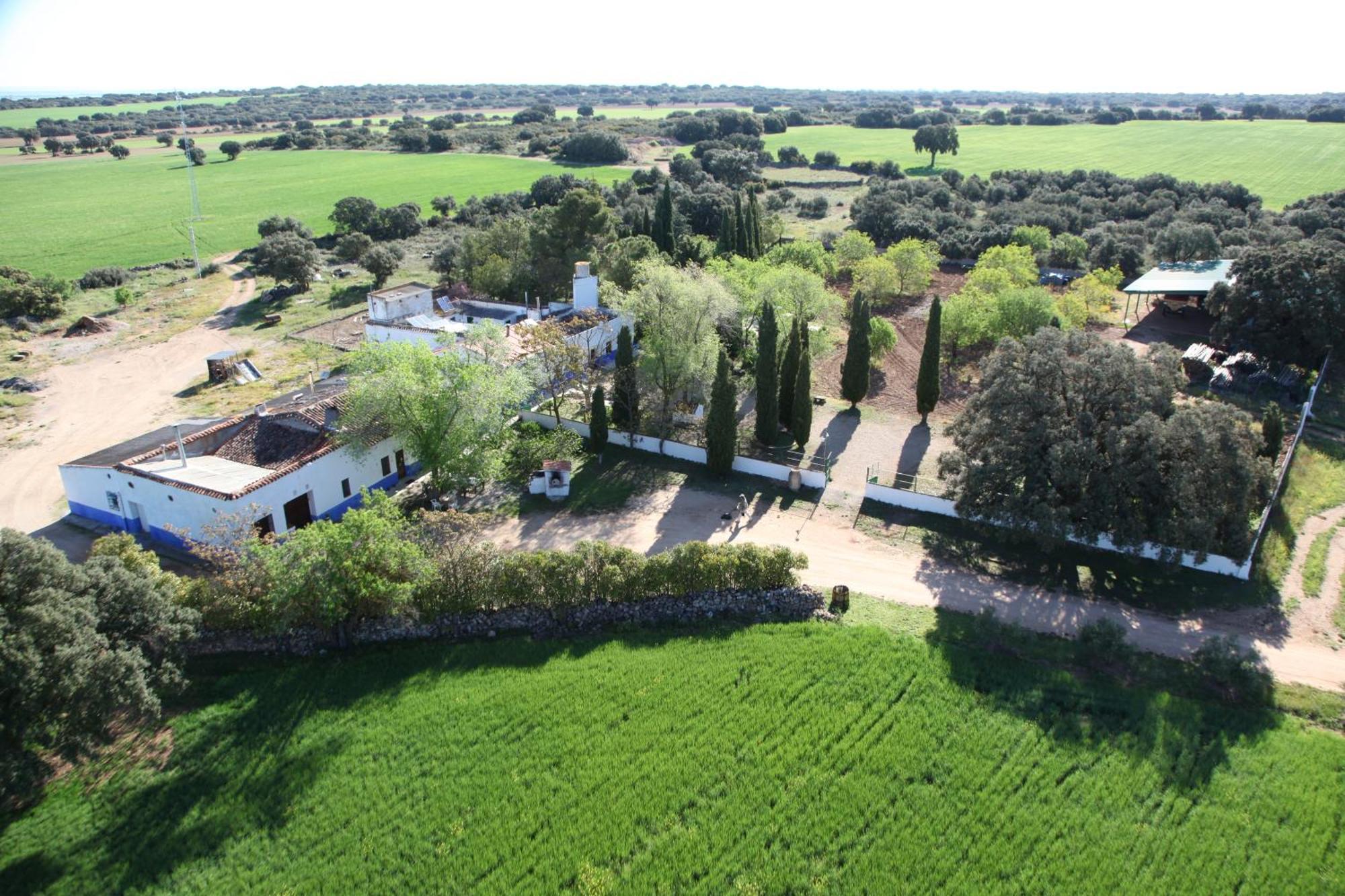 Agroturismo Calixto Villarrobledo Dış mekan fotoğraf