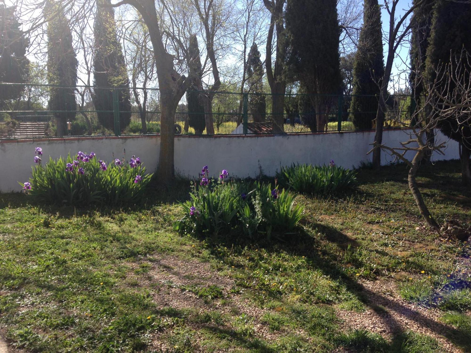 Agroturismo Calixto Villarrobledo Dış mekan fotoğraf