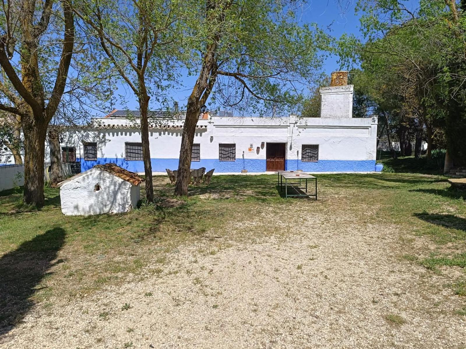 Agroturismo Calixto Villarrobledo Dış mekan fotoğraf